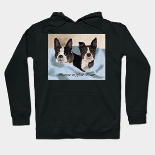 Beloved Boston Terriers Hoodie